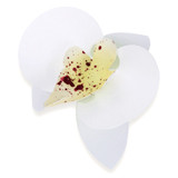 Orhidee din napolitana alba 11052800 PJT set 20 buc
