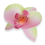 Orhidee din napolitana fistic-roza 11052812 PJT set 20 buc