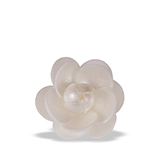 Trandafir din napolitana mare alb perlat 11051200/p PJT set 25 buc