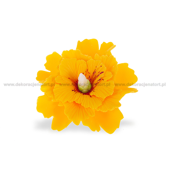 Hibiscus din zahar galben 052101 GPR