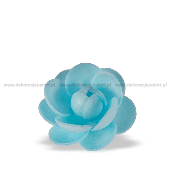 Trandafir din napolitana mare albastru 11051204 GPR