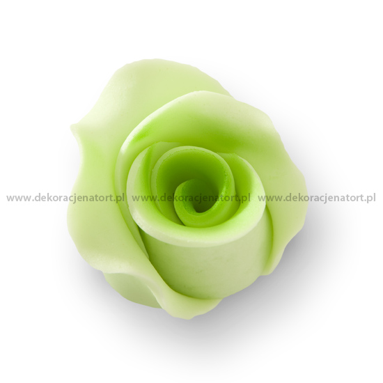 Trandafir din zahar mediu verde deschis 051312 GPR