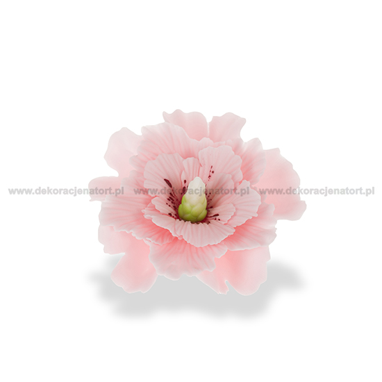 Hibiscus din zahar roz 052103 GPR