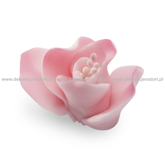 Frezie din zahar roza  052303 GPR