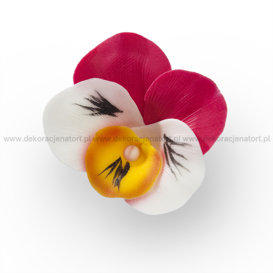 Decoratiuni din zahar Panseluta culoare fucsia, d50mm, 1 buc 052719 GPC