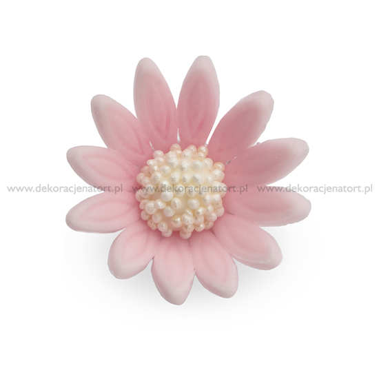 Decoratiuni din zahar Margareta roz, d30mm, 1 buc 050503 GPC