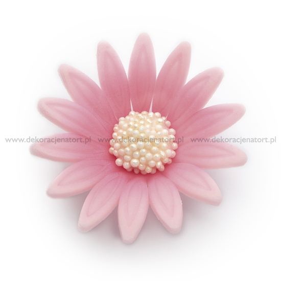 Decoratiuni din zahar Margareta roză,d45mm, 1 buc 050403 GPC