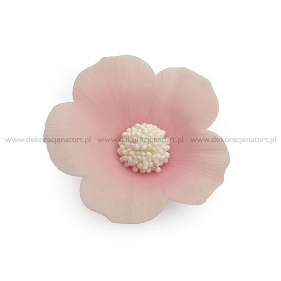 Decoratiuni din zahar Panseluta roz, d50mm, 1 buc 052703 GPC