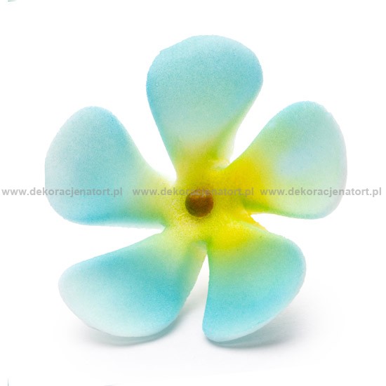 Decoratiuni din zahar Saschiu albastru,d30mm, 1 buc 053404 GPC