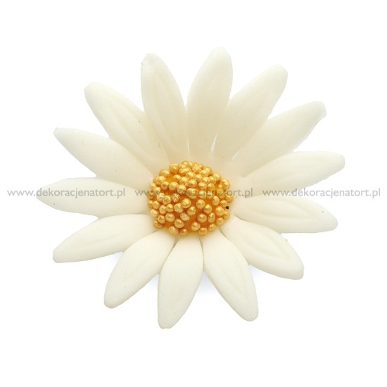 Decoratiuni din zahar Margareta alb, d45mm, 1 buc 050400 GPC