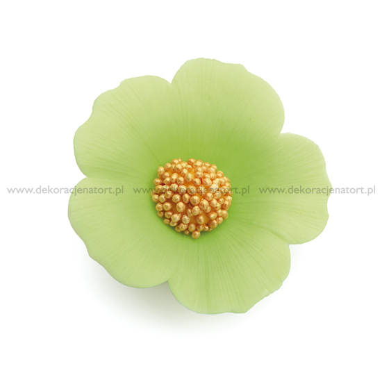 Decoratiuni din zahar Panseluta culoare fistic, d50mm, 1 buc 052712 GPC