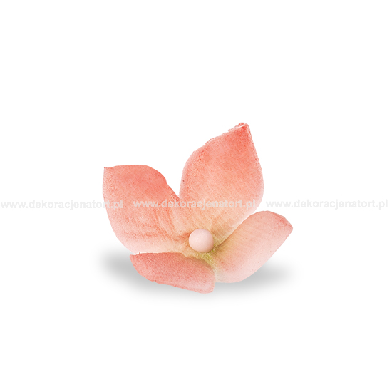 Decoratiuni din zahar Clematis rosu,d20mm, 1 buc 054802 GPC