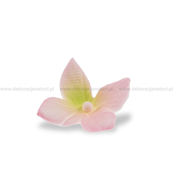 Decoratiuni din zahar Clematis roz,d20mm, 1 buc 054805 GPC