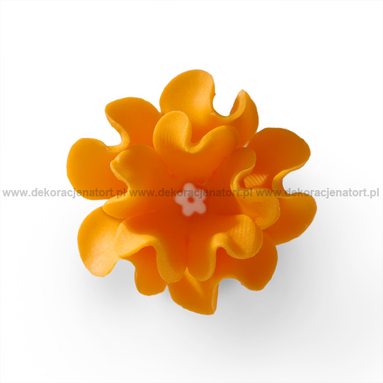Decoratiuni din zahar Leuconia portocalie,d45mm h20mm, 1 buc 054118 GPC