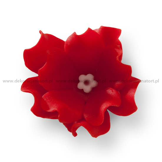 Decoratiuni din zahar Leuconia rosie,d45mm h20mm, 1 buc 054102 GPC