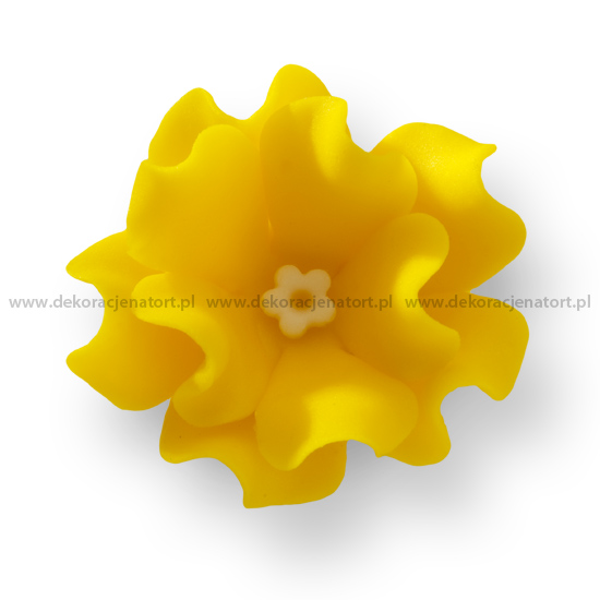 Decoratiuni din zahar Leuconia galbena,d45mm h20mm, 1 buc 054101 GPC