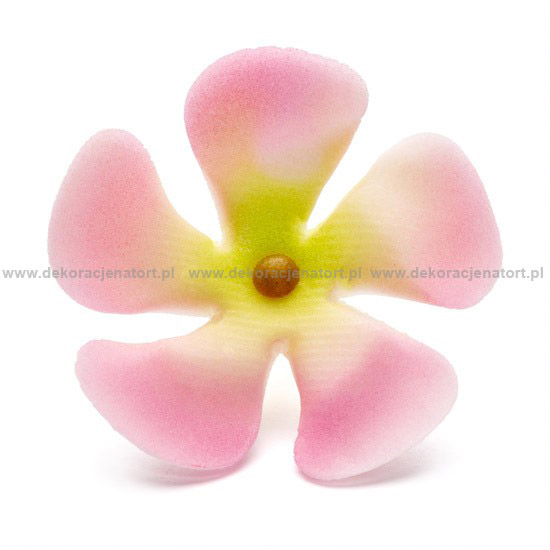Decoratiuni din zahar Saschiu roz,d30mm, 1 buc 053403 GPC