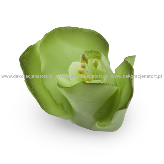 Decoratiuni din zahar Frezia culoare fistic, d50mm h45mm, 1 buc 052312 GPC