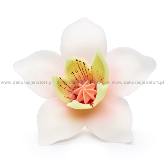 Decoratiuni din zahar Crocus,1 buc 053200 GPC