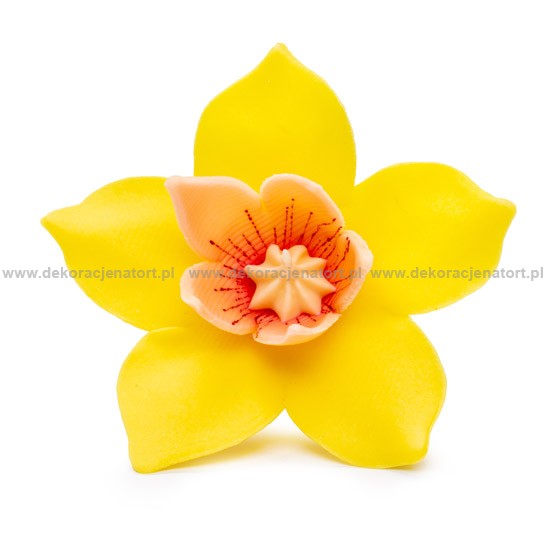 Decoratiuni din zahar Crocus  galbena, 1 buc 053201 GPC