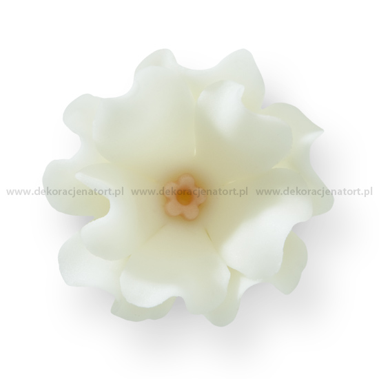 Decoratiuni din zahar Leuconia alba,d45mm h20mm, 1 buc 054100 GPC
