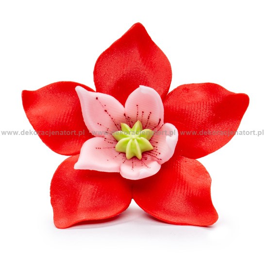 Decoratiuni din zahar Crocus rosie, 1 buc 053202 GPC