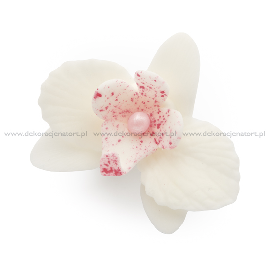 Orhidee din zahar mica alba 053800, 1 buc GPC