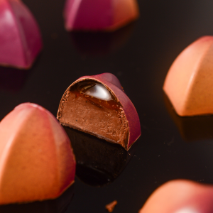 Forma din policarbonat Pod, 25 cavitati 21MA1072 MARTE