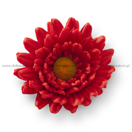 Decoratiuni din zahar Gerbera rosie, d60mm h25mm, 1 buc 052202 GPC
