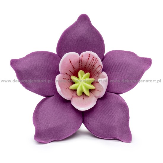 Decoratiuni din zahar Crocus bordo, 1 buc 053210 GPC