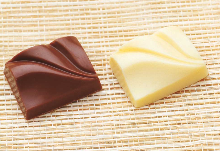 Forma pentru praline MA1620